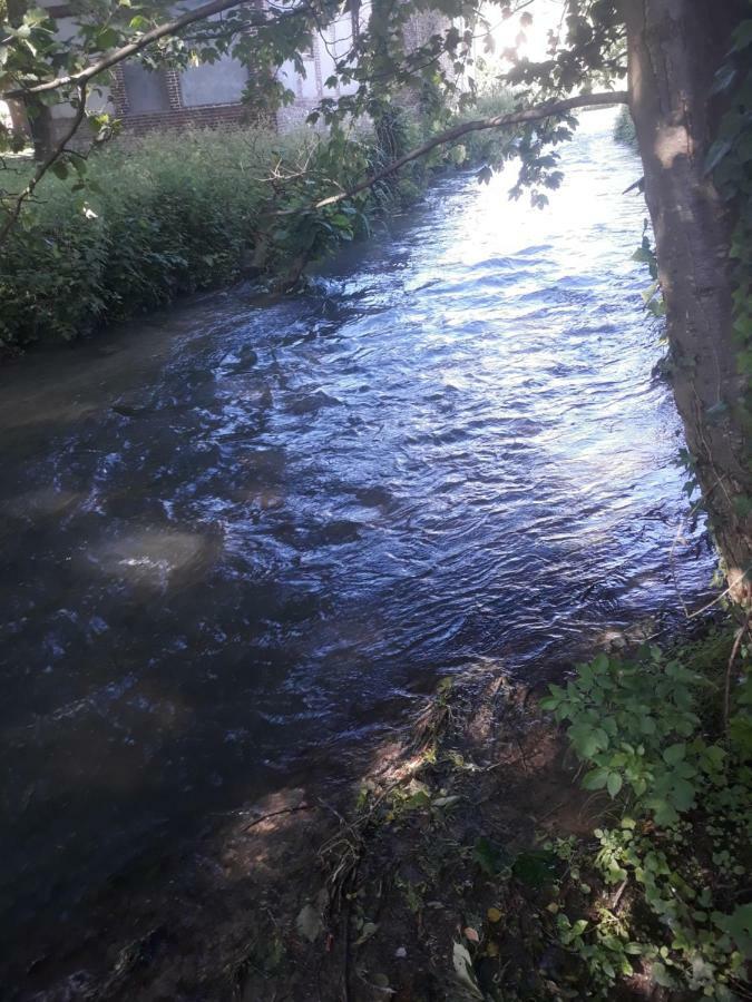 Gite Au Bord Du Lac Montville Eksteriør billede